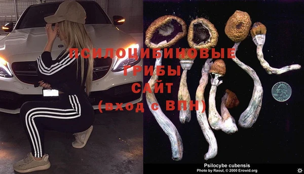гашишное масло Нея
