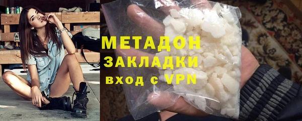 прущие грибы Данков